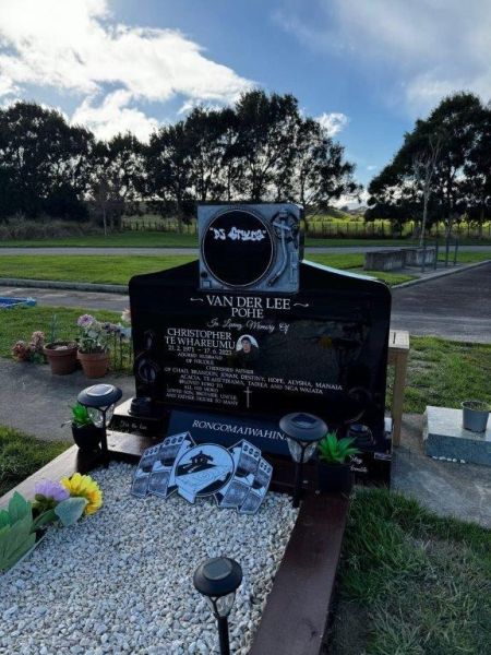 van der lee c t w van der lee c t w