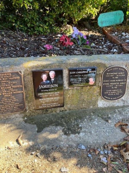 jamieson   brain jamieson   brain